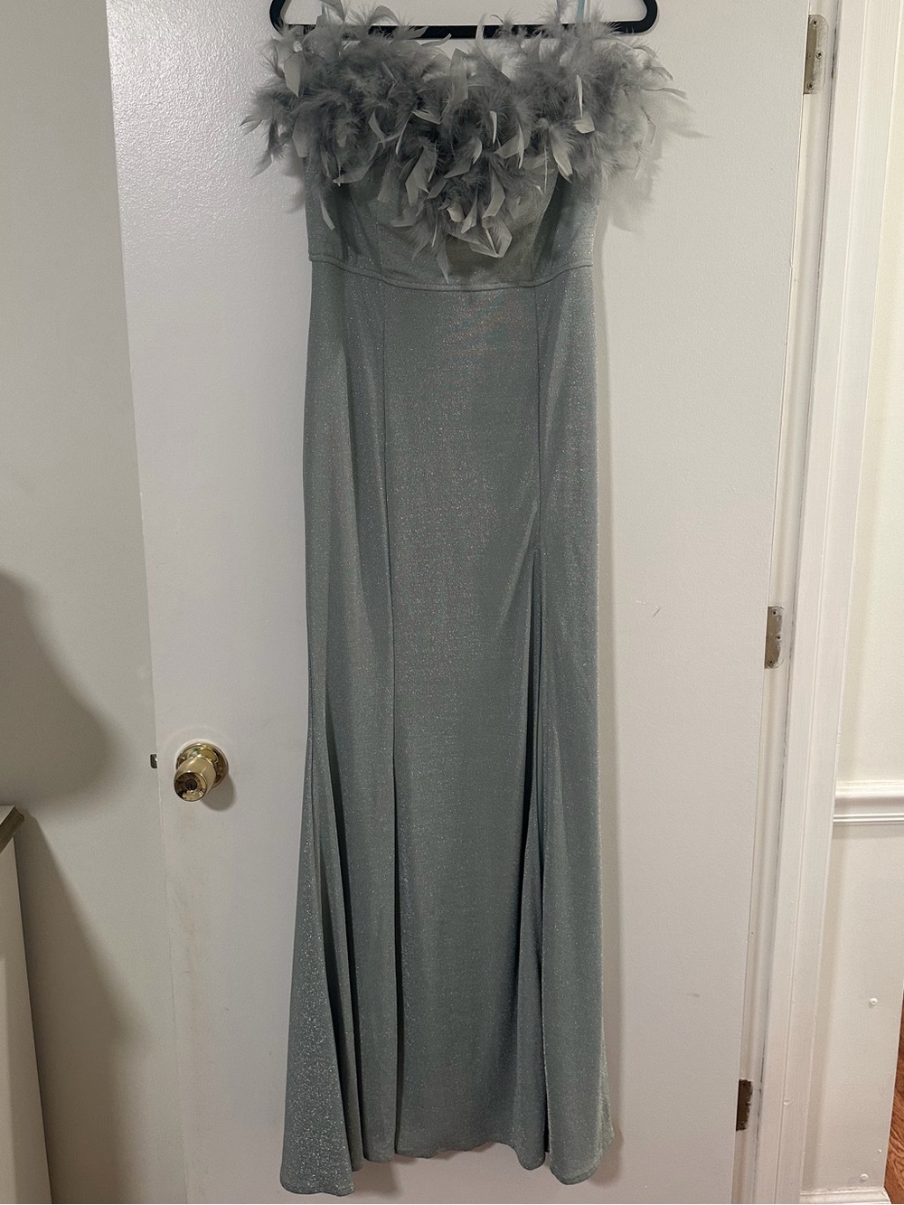 Strapless Feather-Trim Silver Evening Gown